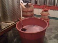 Travaso Vino
