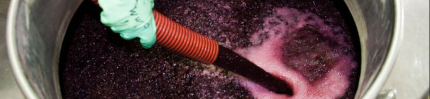 tl_files/catalogo/immagini_vitis_vinifera/Cura_del_vino_areazione.jpg