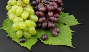 Grappolo d'uva - ilvitigno - it